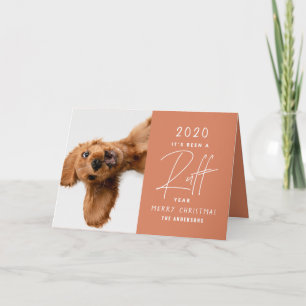 Julens hund, roligt år i recension kort