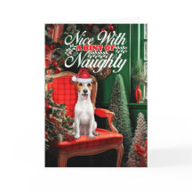 Julens Jack Russell Terrier Hund Naughty eller Nic