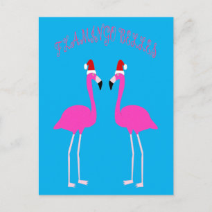 Julens Lesbisk Flamingos Flamingo Belles Vykort
