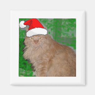 Julens Orange Tabby Kattunge Magnet