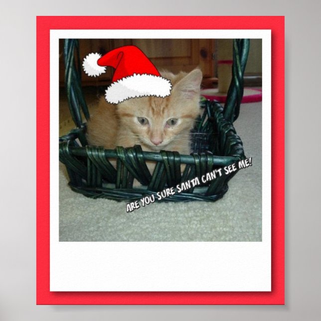 Julens Orange Tabby Kattunge Poster (Framsidan)