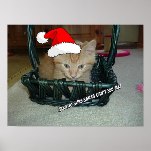Julens Orange Tabby Kitten Poster (Framsidan)