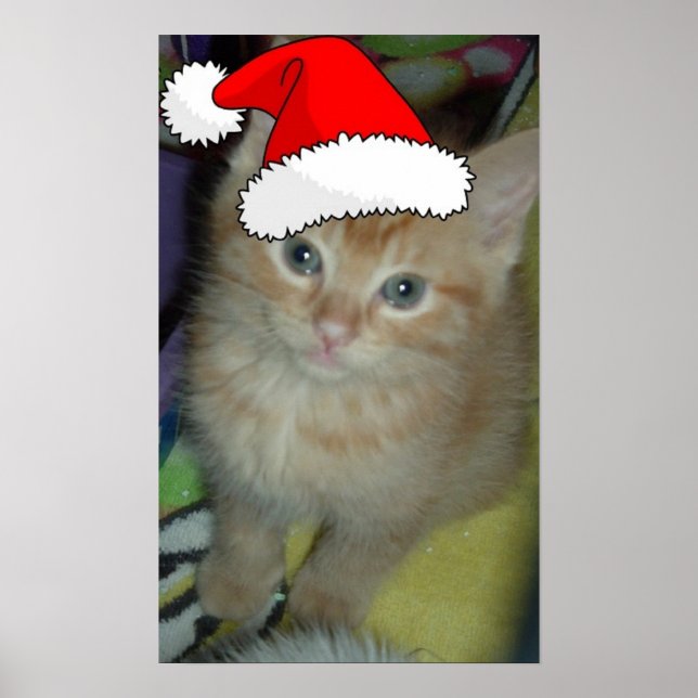 Julens Orange Tabby Kitten Poster (Framsidan)