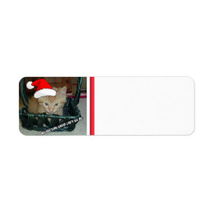 Julens Orange Tabby Kitten Returadress Etikett