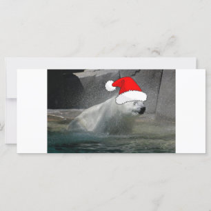 Julens Polar Bears