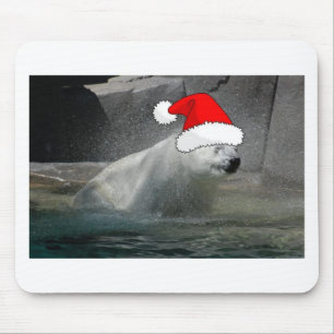 Julens Polar Bears Musmatta
