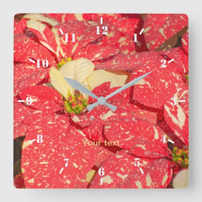 Julfabriken Poinsettia Flower Fyrkantig Klocka (Framsida)