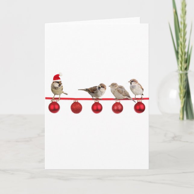 Julfågelsparrows Helgkort (Framsida)