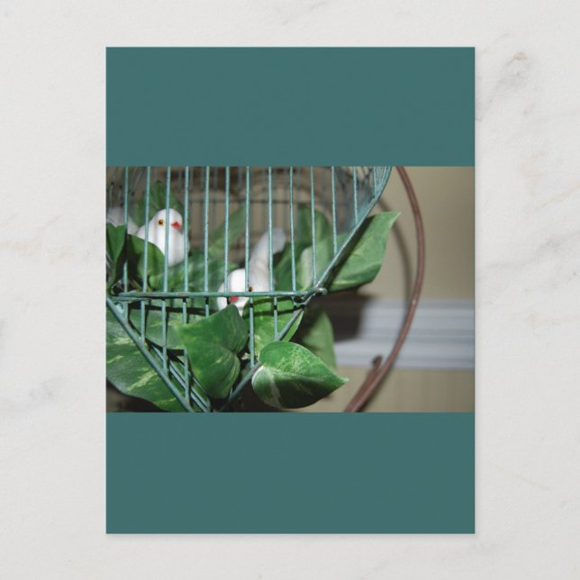 Julfåglar Helg Vykort (Framsida)