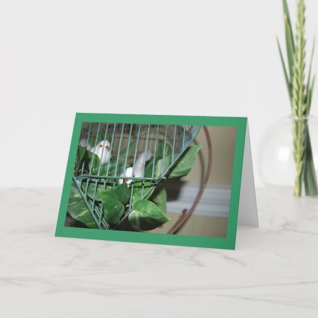 Julfåglar Helgkort (Framsida)