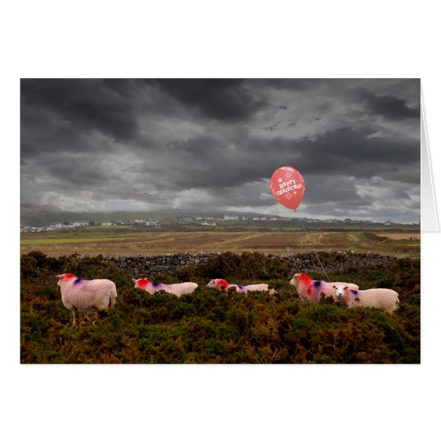 Julfår Hälsningskort (Framsidan Horizontal)