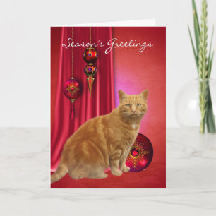julfärgbild med julkort och rödkatt helgkort