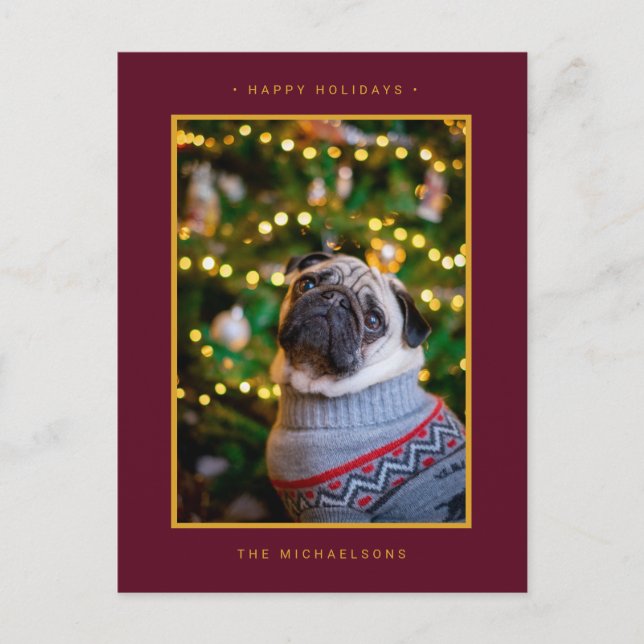 JULFIRSDAG FOTO | Gula Julstjärnor Helg Vykort (Framsida)