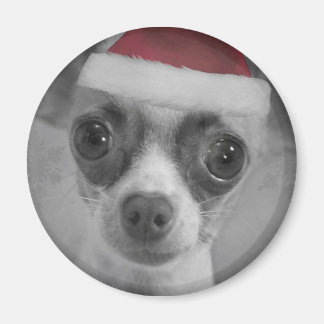 Julfonen Chihuahua Puppy med Santa Hat Magnet