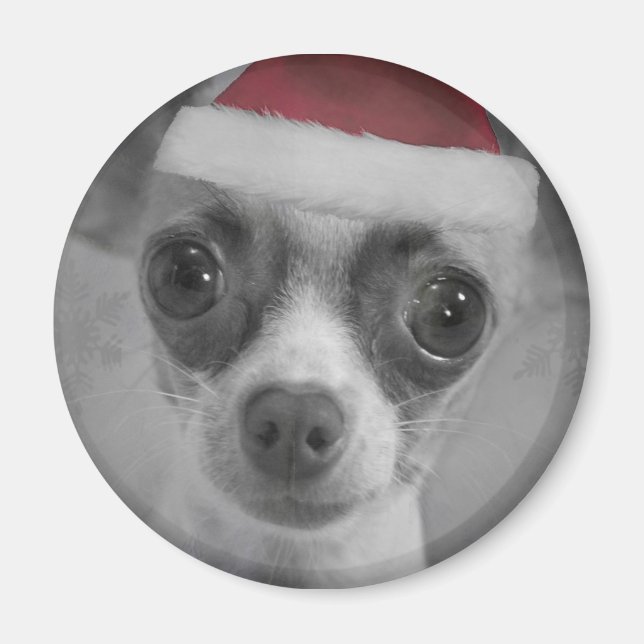 Julfonen Chihuahua Puppy med Santa Hat Magnet (Framsidan)