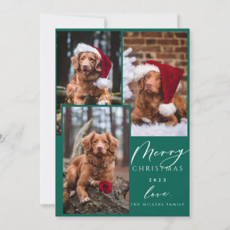 Julfonnyj Pet God jul 3 Photo Holida Julkort