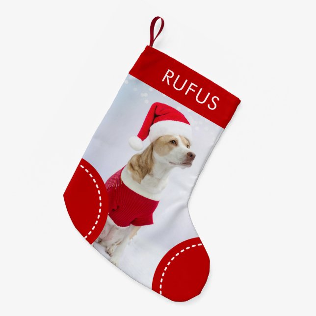 Julfoto av Personligen hund Liten Julstrumpa (Framsidan (Hängande))