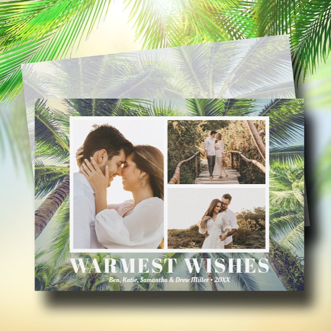 Julfoto från Tropical Handflatan Träd Julkort (Skapare uppladdad)