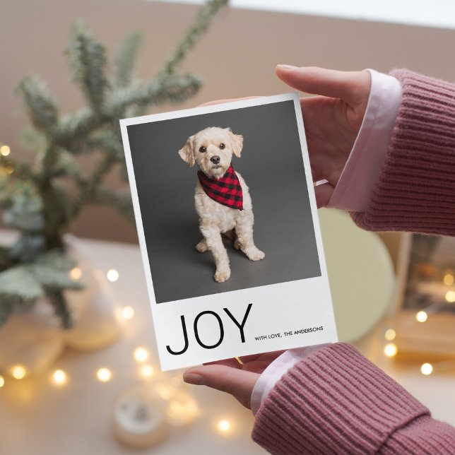Julfoto | Joy | LYCKLIG HELGDAG (Skapare uppladdad)
