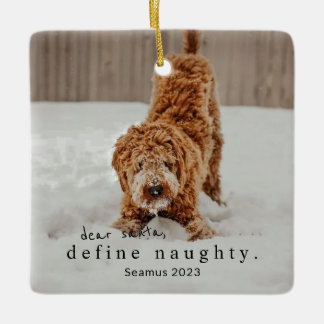 Julfoto Pet Ornament - definiera stel