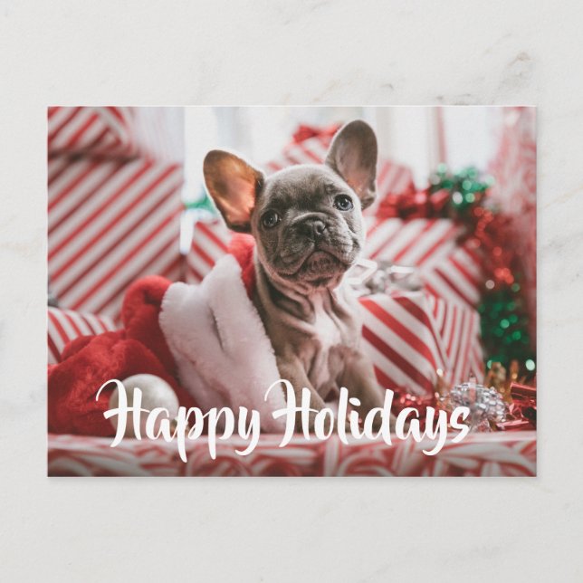 Julfransk Bulldog bland julklappar Helg Vykort (Framsida)