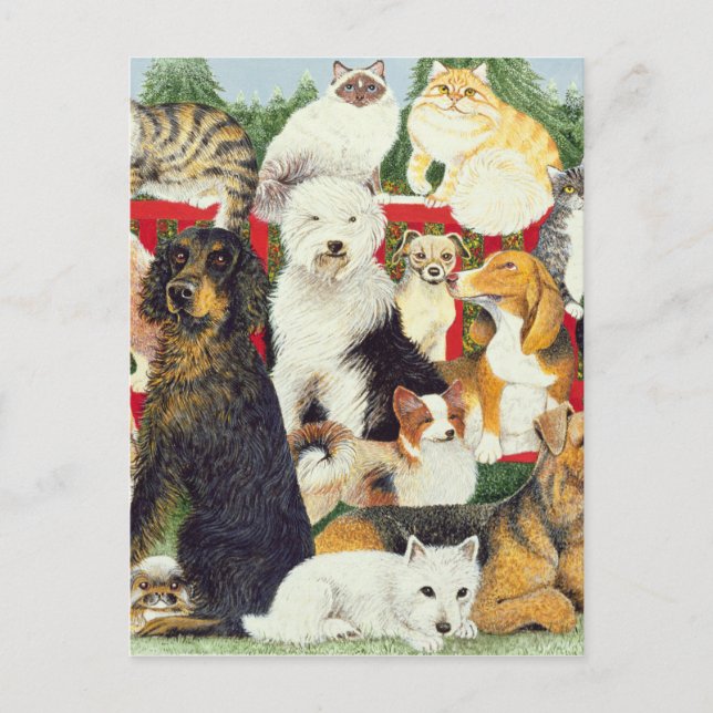 Julfred Helg Vykort (Framsida)