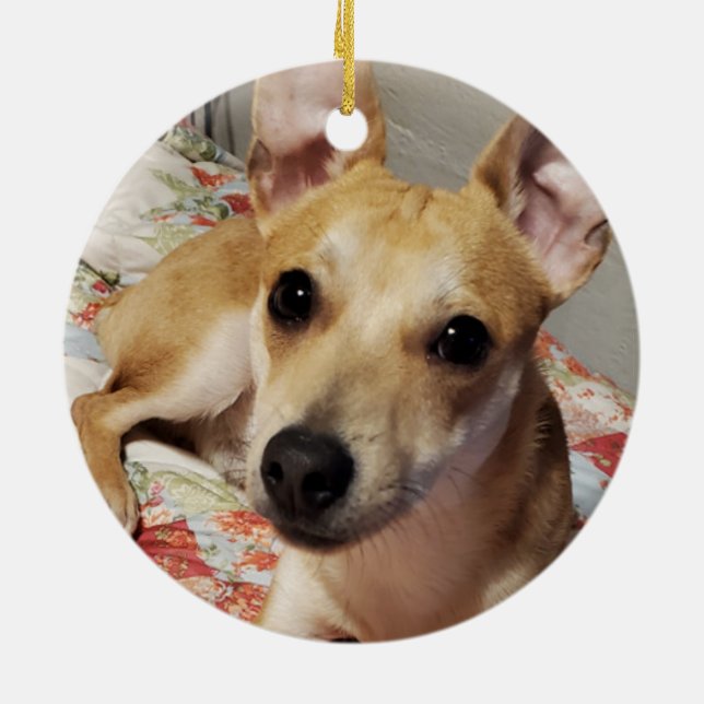 Julfusk Pet Photo Ceramic Ornament (Baksidan)