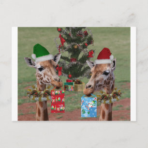 Julgiraff Helg Vykort
