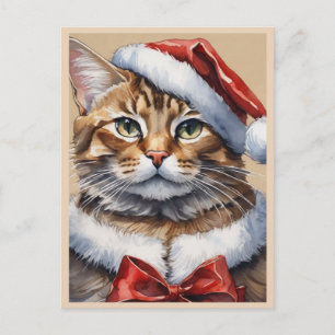 Julglad katt julkort helg vykort
