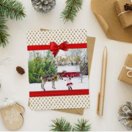Julglädjen och fredsfoto helg vykort