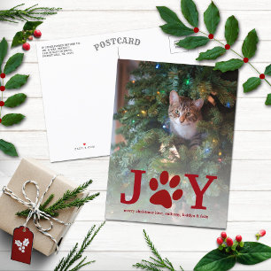 Julglädjen Pet Helgdag Photo Helg Vykort