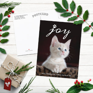 Julglädjen Pet Helgdag Photo Helg Vykort