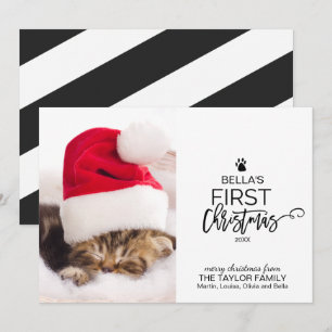 Julgran Cats första julfoto Julkort
