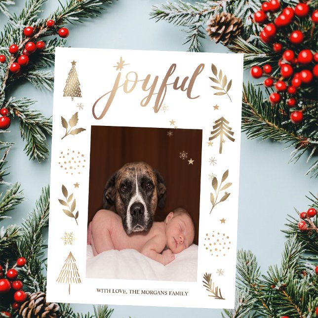 Julgran Glatt fotojul (Skapare uppladdad)