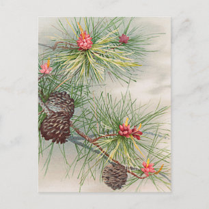 Julgran Gräs och Helgdag för färgreducering Helg Vykort
