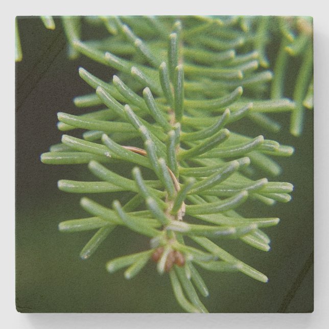 Julgran Gren Stenunderlägg (Framsidan)