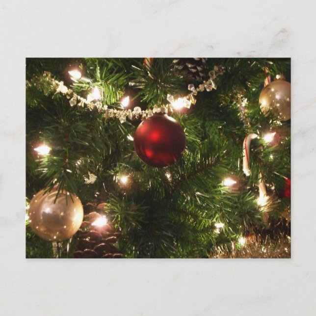 Julgran I Helgdag Söt Grönt och Röd Helg Vykort (Framsida)