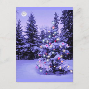 Julgran i skogen helg vykort