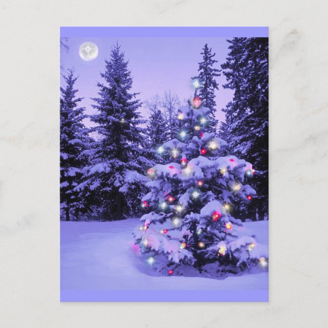 Julgran i skogen helg vykort (Framsida)