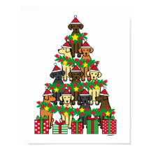 Julgran Labradors Four