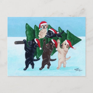Julgran Labradors i snö fält Helg Vykort