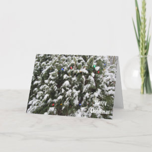 Julgran Låt Det Snöa Helgkort