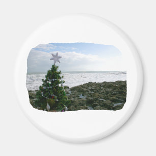 Julgran mot strandstenar magnet