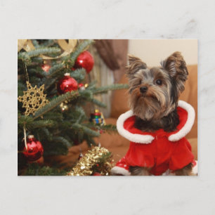 Julgran och Yorkie Puppy Helg Vykort