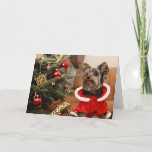 Julgran och Yorkie valp Helgkort