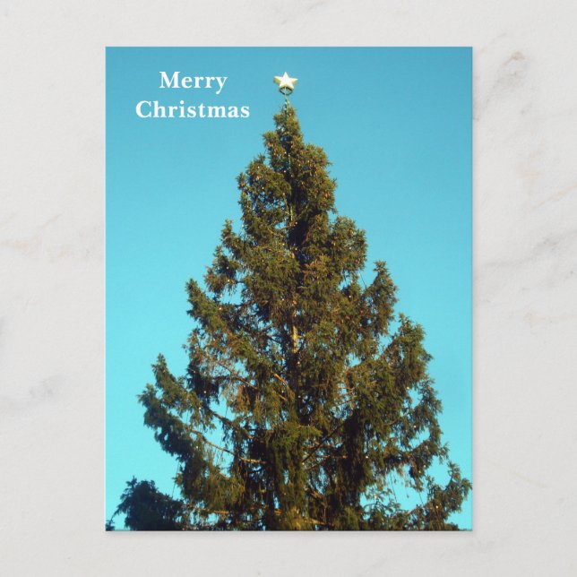 Julgran på Trafalgar Square Helgdag Postcar Helg Vykort (Framsida)