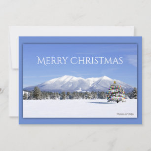 Julgran San Francisco Peaks Flagstaff AZ Julkort