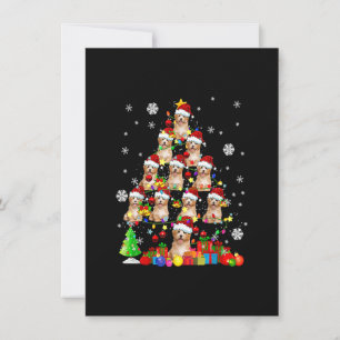 Julgran Santa Cavapoo jul Ljus Sant Inbjudningar