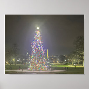 Julgran US Huvudstad Washington DC Poster