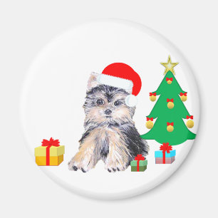 Julgran, Yorkshire valp & presenter Magnet